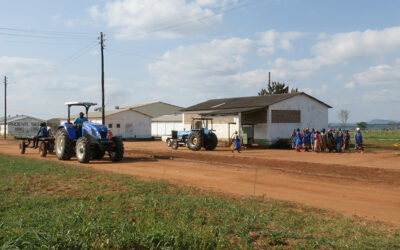 HOLLARD MOZAMBIQUE: Securing Better Futures Through Pioneering Agri Insurance Scheme